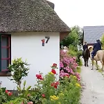 Unser Froschhaus بيت للعطل