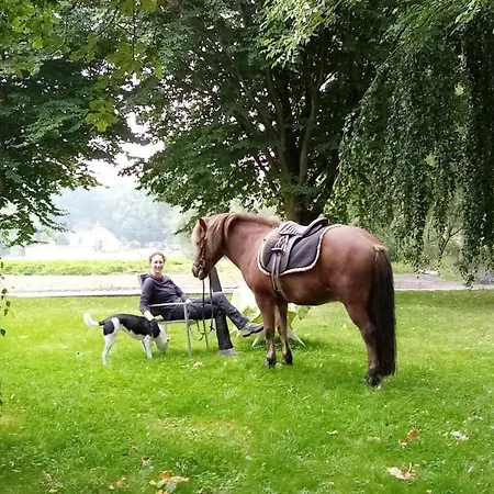 Unser Froschhaus Vakantiehuis Suderdeich