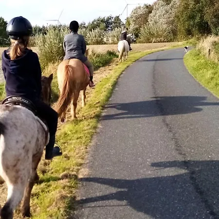 Vakantiehuis Unser Froschhaus *