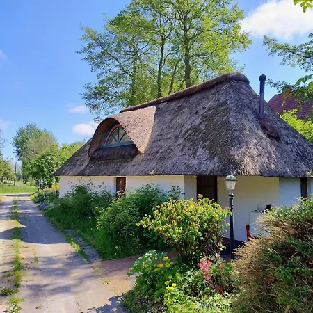 Unser Froschhaus *