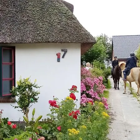 Unser Froschhaus Feriehus